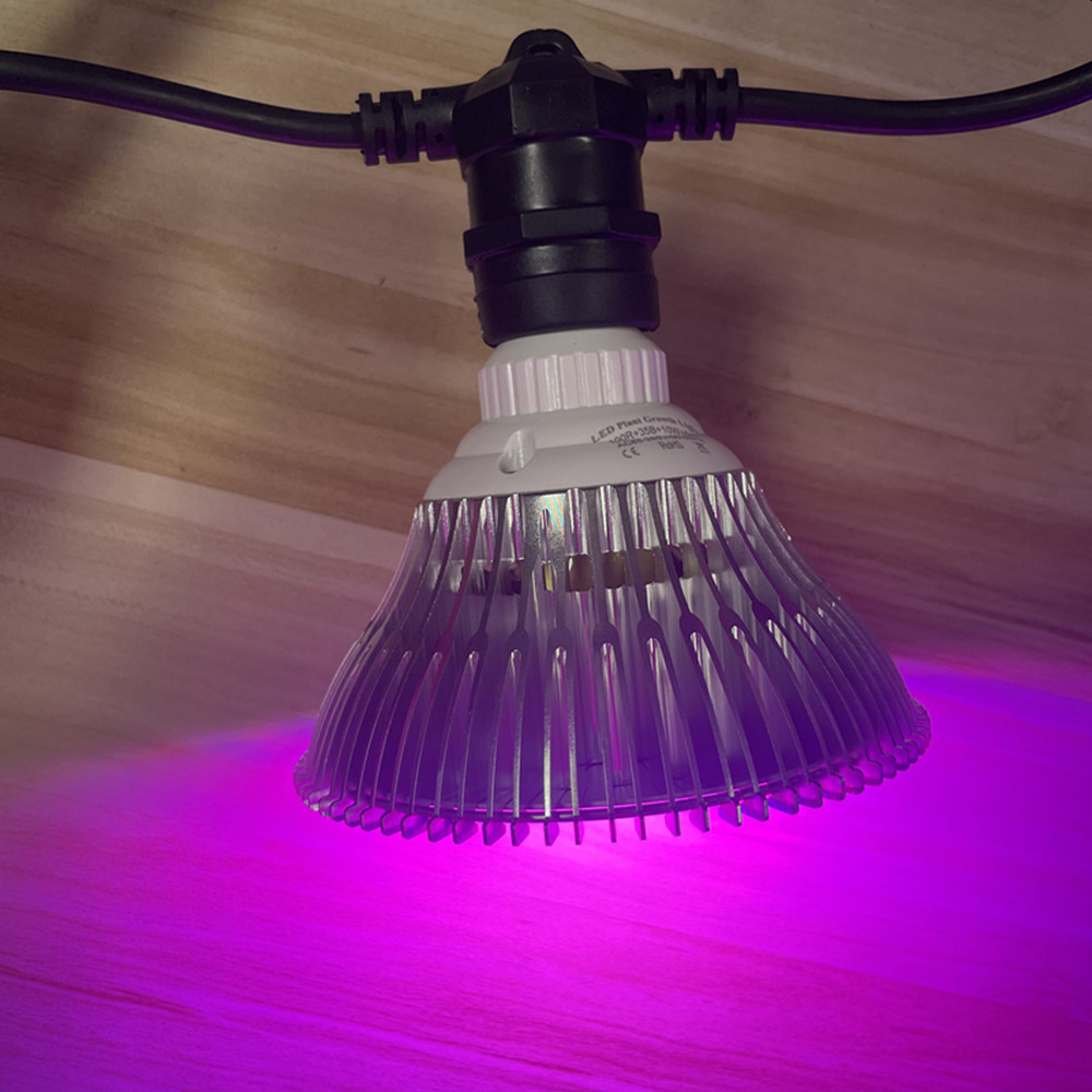 10M 케이블 LED 스트링 조명, 상업용 등급 방수, - Outdoor Lighting And Landscape 리뷰 및 가격