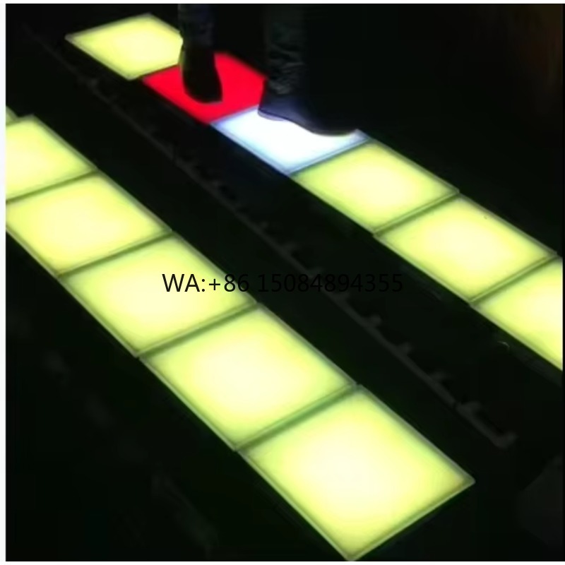 야외용 IP65-67 방수 RGB 컬러 LED 댄스 플 - Outdoor Lighting Ip65 리뷰 및 가격